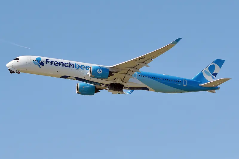 French bee Baggage Policy 2026: The Ultimate Guide to Fees, Dimensi...